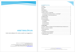 Arbetsmilj�plan � Enkel mall f�r sm� f�retag