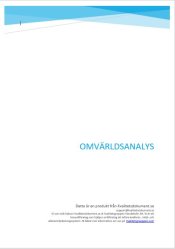 Omvrldsanalys + Vgledning