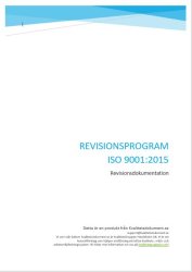 Revisionsprogram ISO 9001